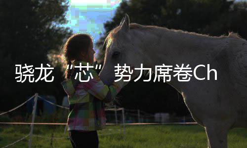 密码卷C局的技术骁龙芯力席域布势手机全领